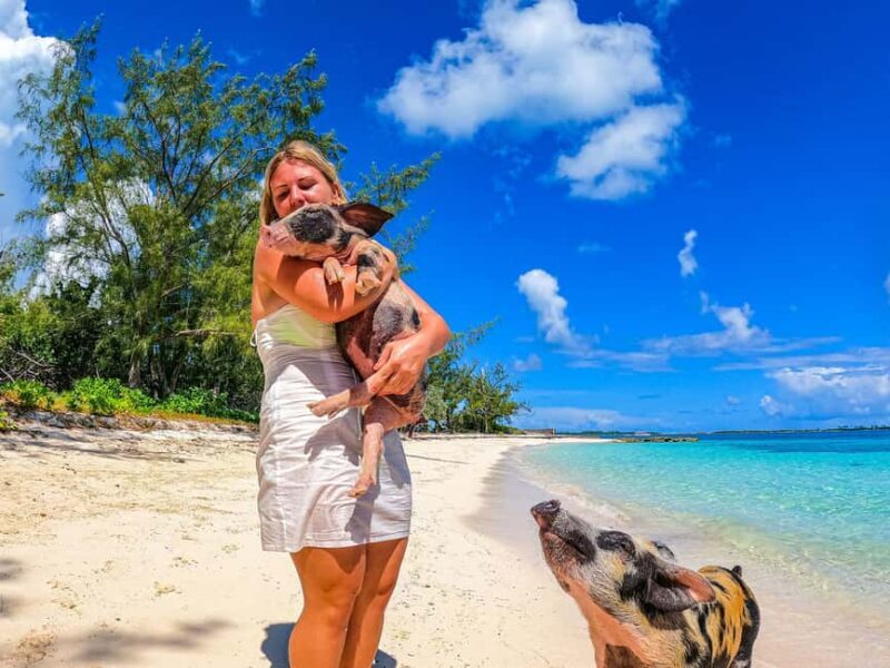 Nassau: Sun Cay and Swimming Pigs Boat Trip with Lunch - Returning to Nassau