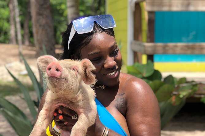 Nassau Swim With Da Pigs Beach Day Including Lunch  - New Providence Island - Snorkel in Crystal Clear Waters
