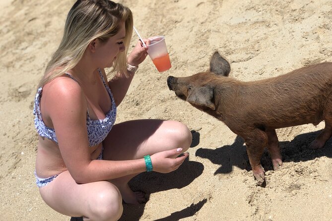 Nassau Swim With Da Pigs Beach Day Including Lunch  - New Providence Island - Indulge in a Delicious Beachside Lunch