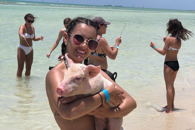Nassau Swim With Da Pigs Beach Day Including Lunch  - New Providence Island - Explore the Beauty of New Providence Island