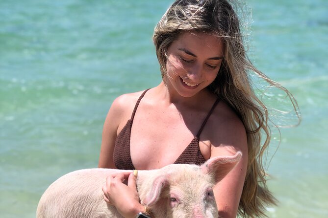 Nassau Swim With Da Pigs Beach Day Including Lunch  - New Providence Island - Experience VIP Treatment on Your Tour