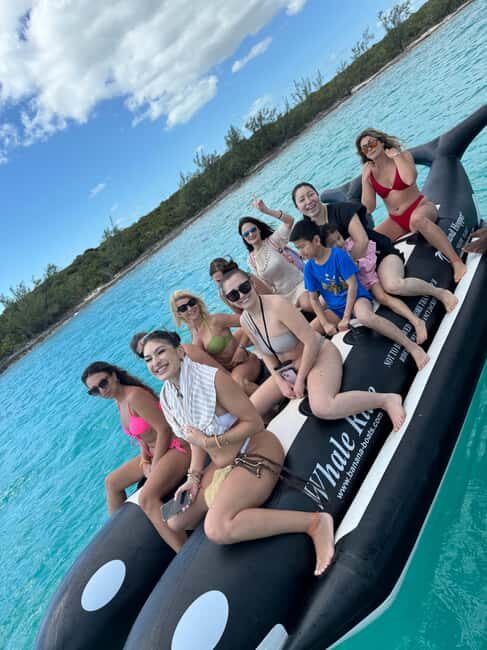 Nassau: Swimming Pigs and Turtles Boat Tour with Snorkeling - Who Would Love This Tour?