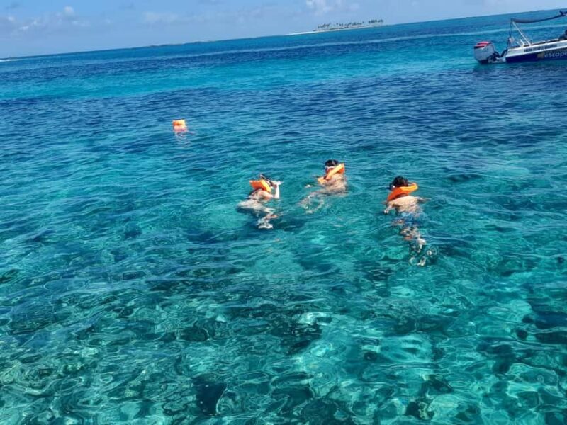Nassau: Swimming Pigs Private Boat Tour - Up to 7 Persons - Good To Know