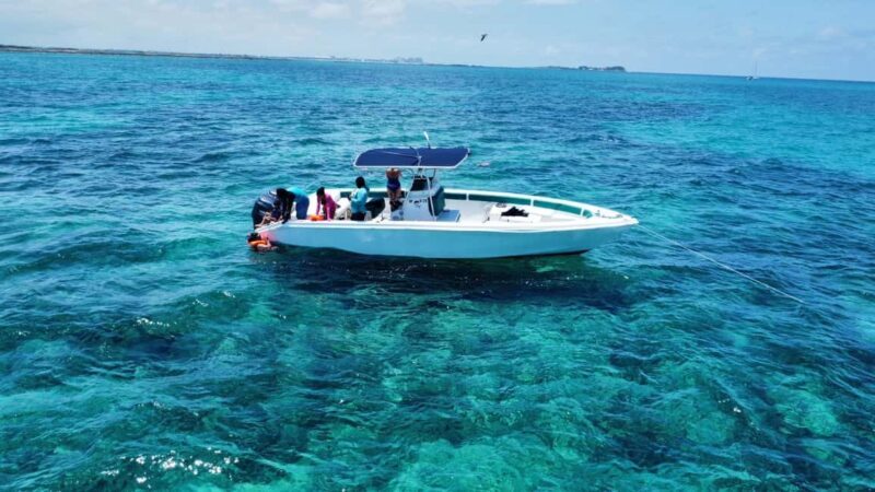 Nassau: Swimming Pigs Private Boat Tour - Up to 7 Persons - Practical Details and Value