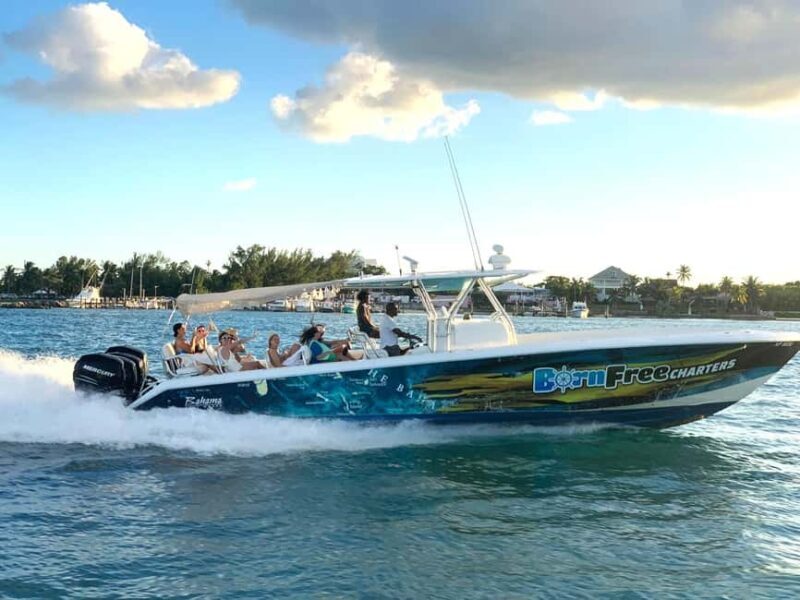 Nassau: Swimming Pigs, Snorkel and Lunch by Speed Boat - Good To Know