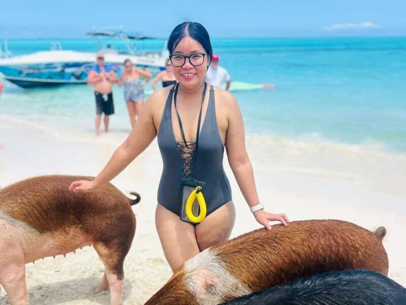 Nassau: Swimming Pigs, Turtles, Snorkel & More - Good To Know