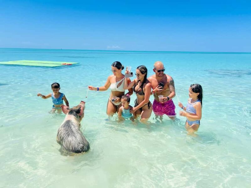 Nassau: Swimming Pigs, Turtles, Snorkel & More - Food, Drinks, and Relaxation
