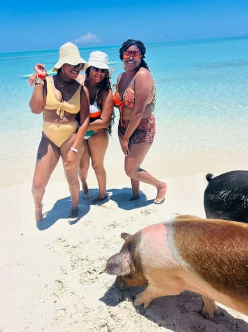 Nassau: Swimming Pigs, Turtles, Snorkel & More - Transportation and Practicalities