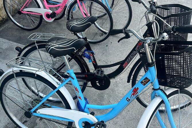 Nassaushores Bicycle Rentals - Deep Dive into the Route & Experience