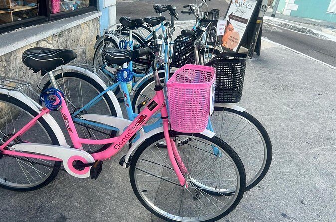 Nassaushores Bicycle Rentals - The Sum Up