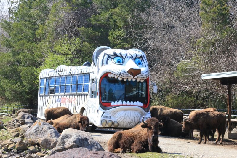 Nasu Safari Park Ticket - A safari visit, not a full-day zoo