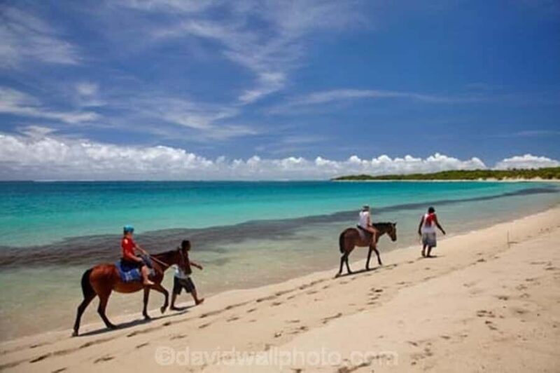 Natadola Beach Tour With Tifajek Mud Pool & Hotspring - Optional Wellness and Extras