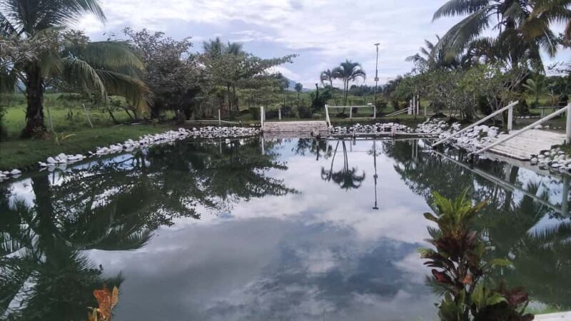 Natadola Beach Tour With Tifajek Mud Pool & Hotspring - What Guests Are Saying: Real Insights