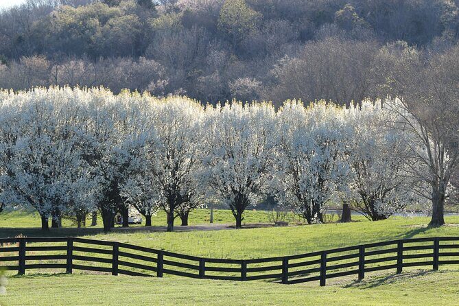 Natchez Trace Parkway Self-Guided Driving Audio Tour - Who Would Love This Tour?