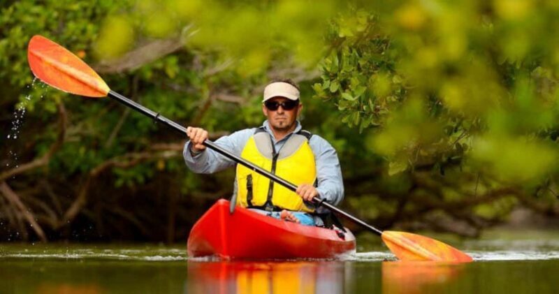 Natick: Lake Cochituate Single or Tandem Kayak Rental - An In-Depth Look at the Kayak Rental Experience