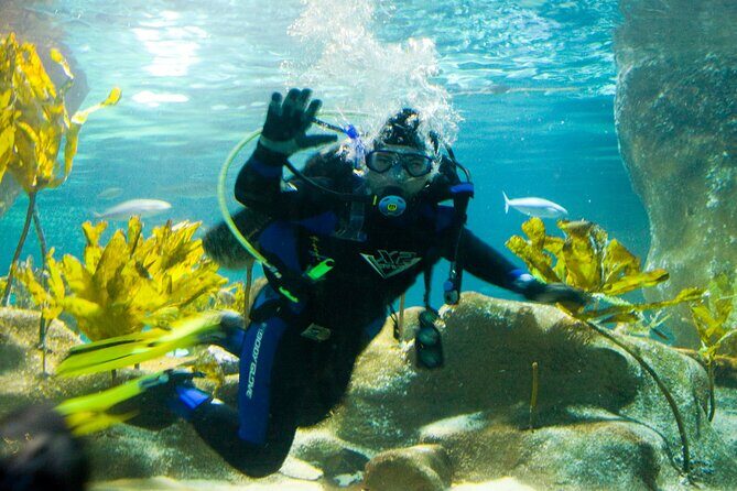 National Aquarium of New Zealand in Napier General Admission - Location and Accessibility