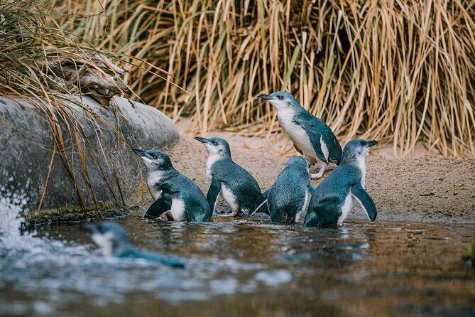 National Aquarium of New Zealand in Napier General Admission - Admission and Overall Value