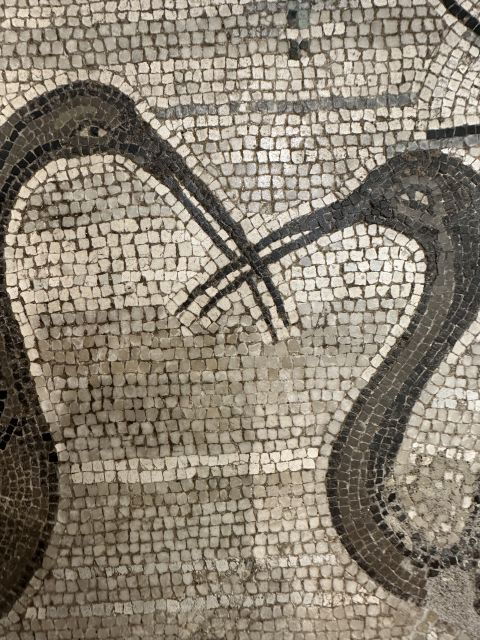 National Archaeological Museum of Naples Private Guided Tour - Meeting Point and Logistics