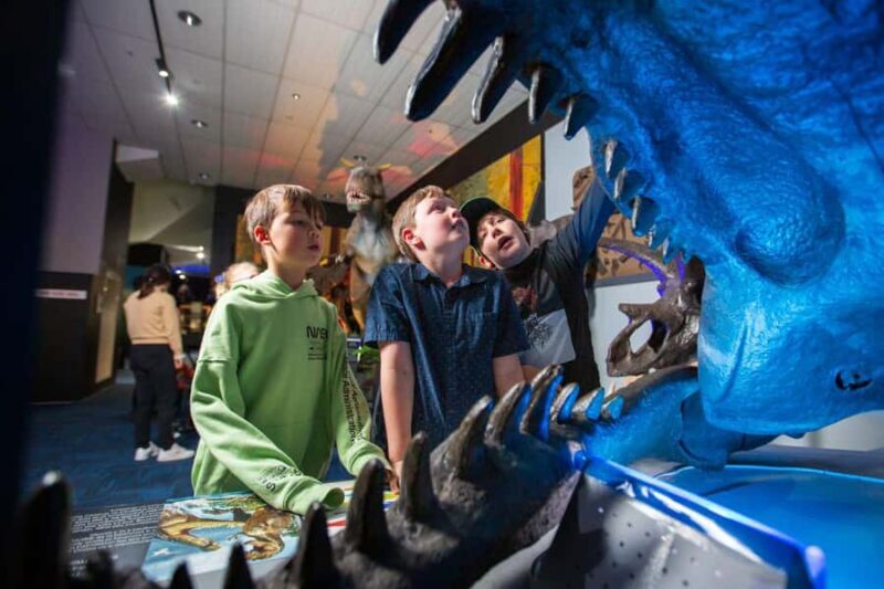 National Dinosaur Museum - Entry Ticket - Who will love this experience?