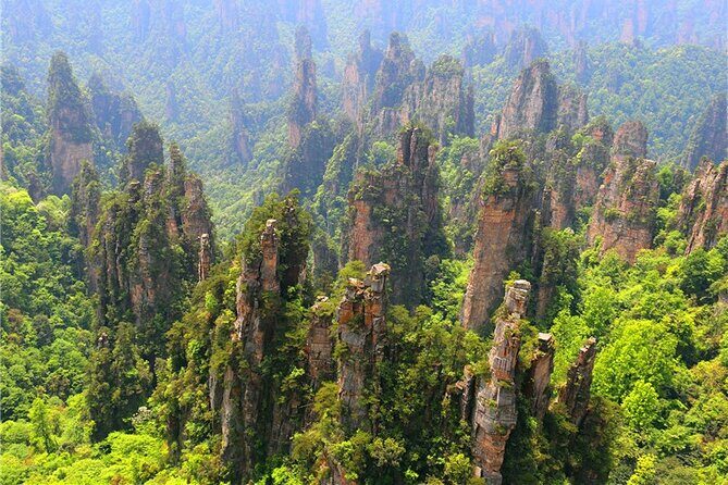 National Forest Park Avatar Mountain Day Tour - Final verdict