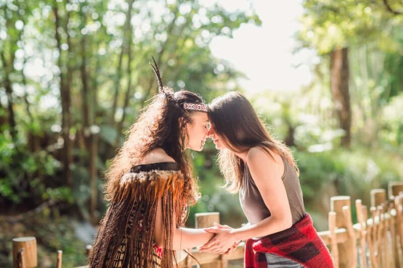 National "Funky Chicken" Hop-On Hop-Off Bus Pass - Exploring New Zealand with the National "Funky Chicken" Hop-On Hop-Off Bus Pass