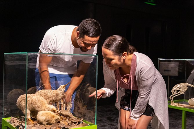 National Kiwi Hatchery - Kiwi Encounter Tour - Tour Highlights