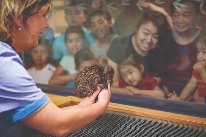 National Kiwi Hatchery - Kiwi Encounter Tour - Conservation Program