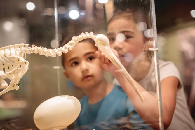 National Kiwi Hatchery - Kiwi Encounter Tour - Interactive Kiwi Burrow