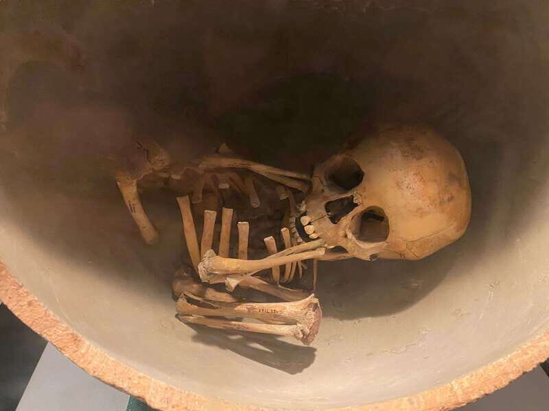 National Museum of Anthropology: a journey into Mexico's past-English lang. - Good To Know