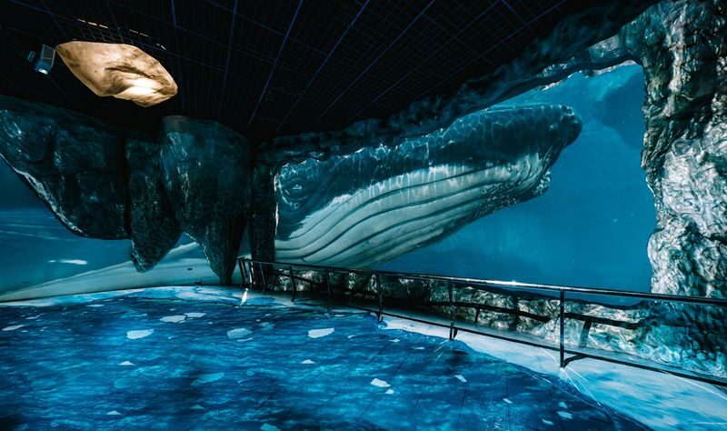 National Museum of Marine Biology and Aquarium Ticket - Key points before you go