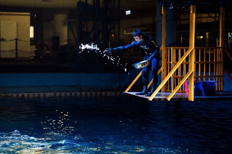 National Museum of Marine Biology and Aquarium Ticket - Ticket use and visiting rules