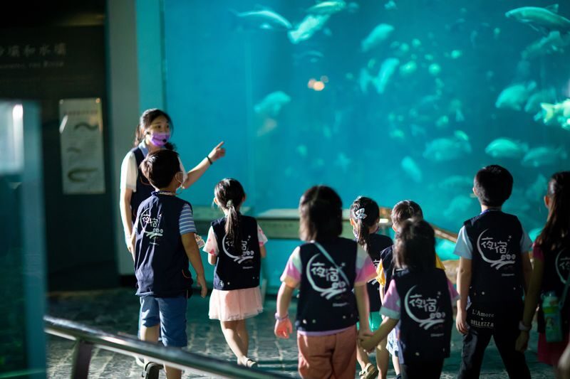 National Museum of Marine Biology and Aquarium Ticket - Who will get the most from this visit?