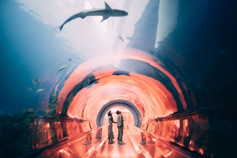 National Museum of Marine Biology and Aquarium Ticket - Should you book the aquarium ticket?