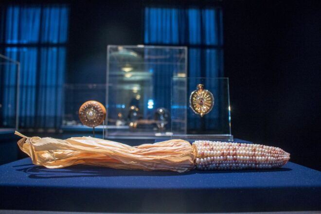 National Museum of Natural History Guided Tour - Additional Recommendations and Activities