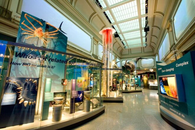 National Museum of Natural History Guided Tour - Positive Customer Reviews
