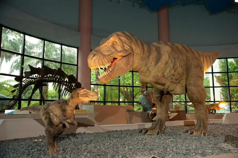National Museum of Natural Science ticket in Taichung - At a glance