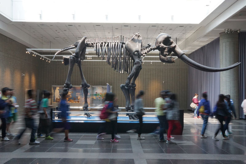 National Museum of Natural Science ticket in Taichung - Start with the scale, not the ticket