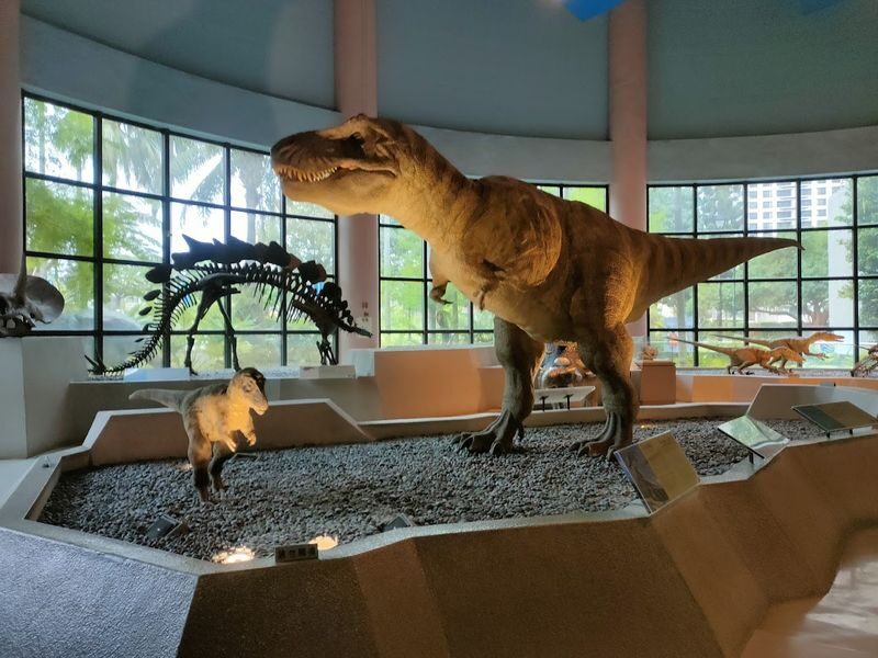 National Museum of Natural Science ticket in Taichung - Meet Earth’s systems in the Environment hall