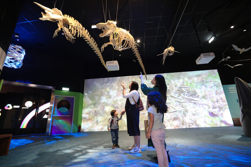 National Museum of Natural Science ticket in Taichung - Set aside more time than the minimum
