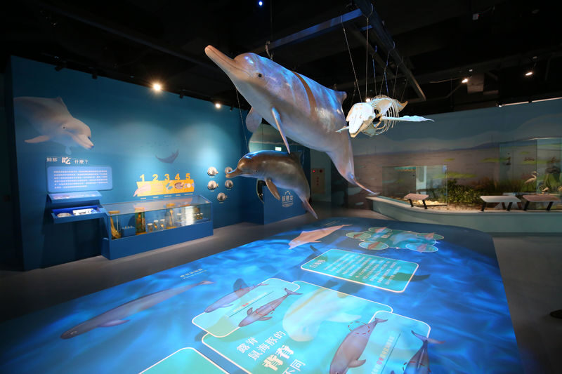 National Museum of Natural Science ticket in Taichung - Judge the price by what you’ll use