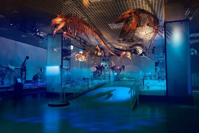 National Museum of Nature and Science Ticket in Tokyo - Give yourself time, and plan around the crowd