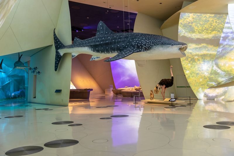 National Museum of Qatar Ticket - Cafes, Shops, and a Useful Break