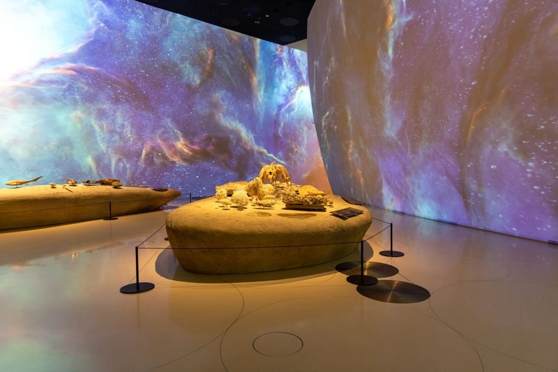 National Museum of Qatar Ticket - Opening Hours and Ramadan Visits
