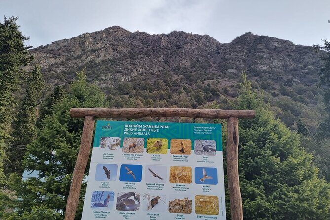 National park Ala-Archa & Chunkurchak ski base resort - The Practicalities: What’s Included and What’s Not