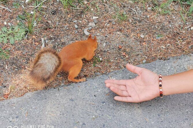 National park Ala-Archa & Chunkurchak ski base resort - What Travelers Say About the Experience