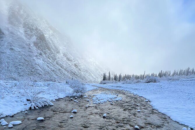 National park Ala-Archa & Chunkurchak ski base resort - Practical Tips for Making the Most of This Tour