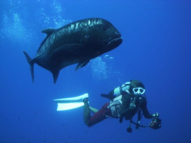 National Park Kerama Islands 2 Boat Fan Diving (With Rental) - Activity Description