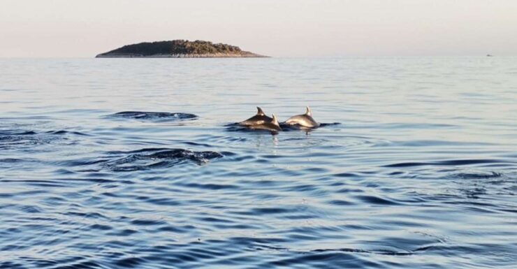 National Park Kornati - Good To Know