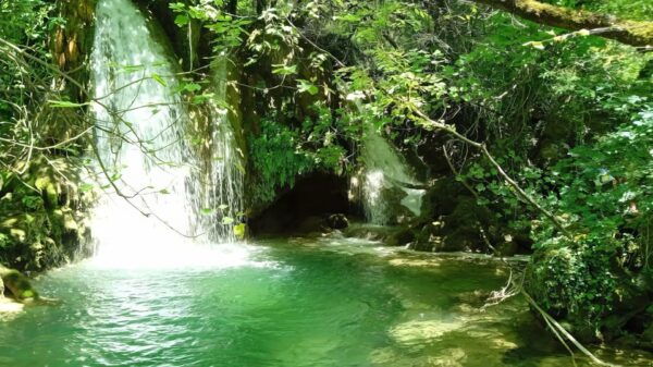 National Park Krka: Swimming Among Waterfalls - Frequently Asked Questions