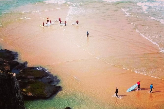 National Park West Coast Half Day Tour From Lagos - Tour Overview and Details